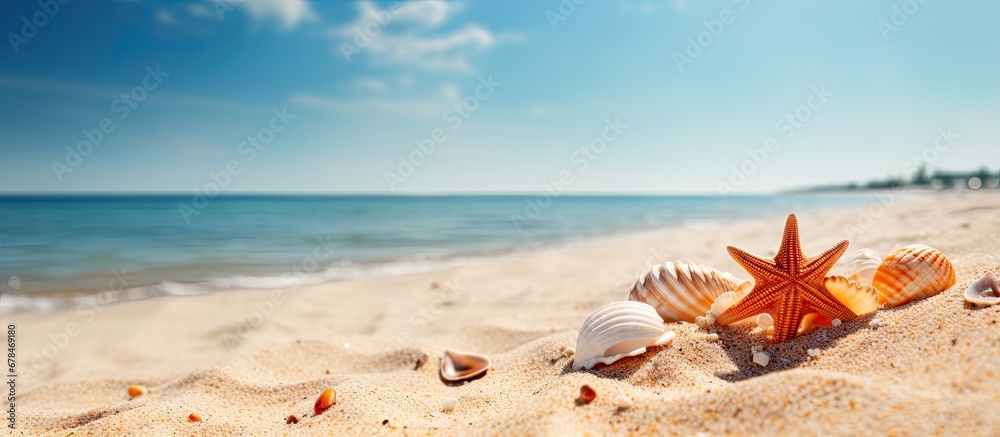Sunshine illuminates the sandy beach adorned with lovely shells in summer Sunshine illuminates the sandy beach adorned with lovely shells in summer