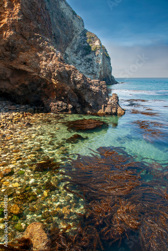 Colorful water and kelp at Catalina Island CA