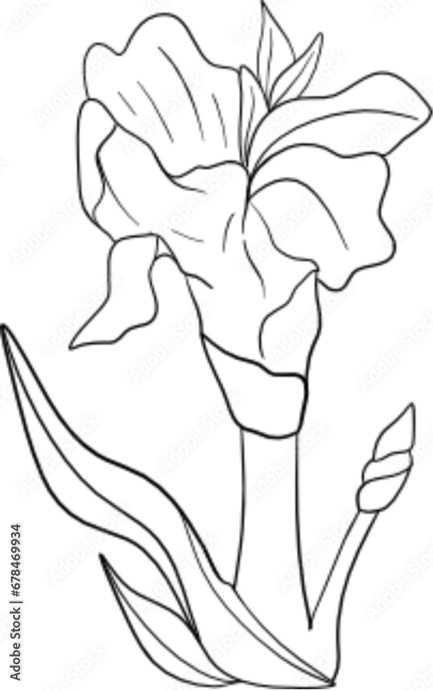 flower hand drawn flower hand drawn