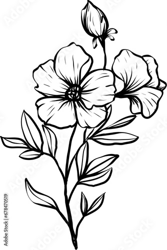 flower hand drawn