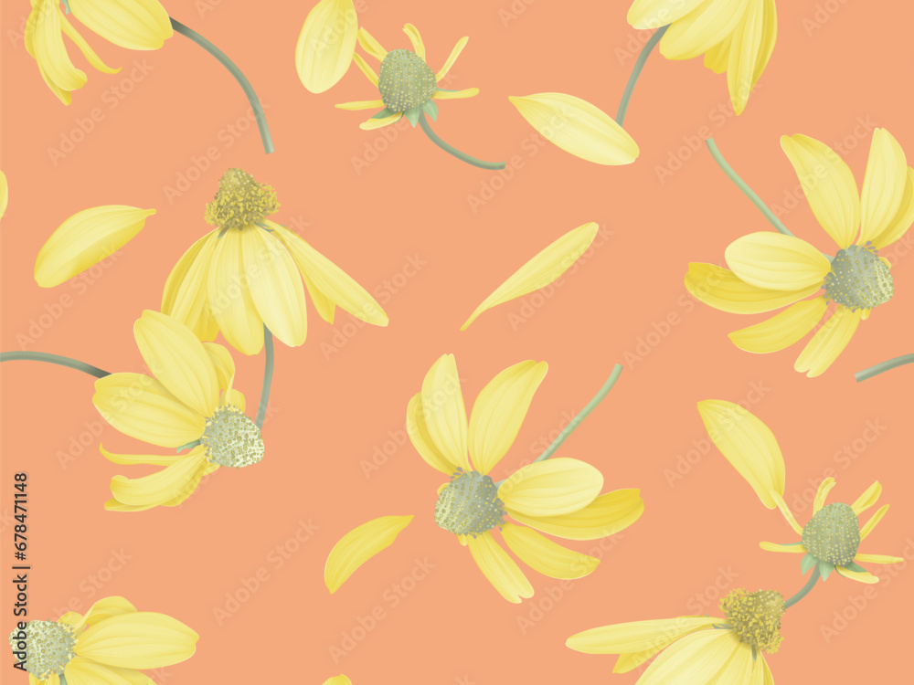 Floral seamless pattern, yellow Cutleaf coneflower on orange