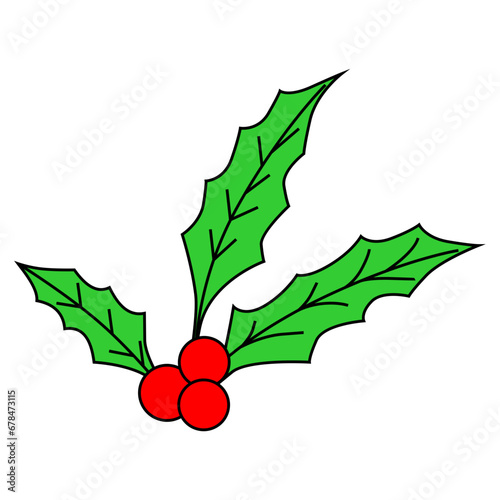holly berries with leaves