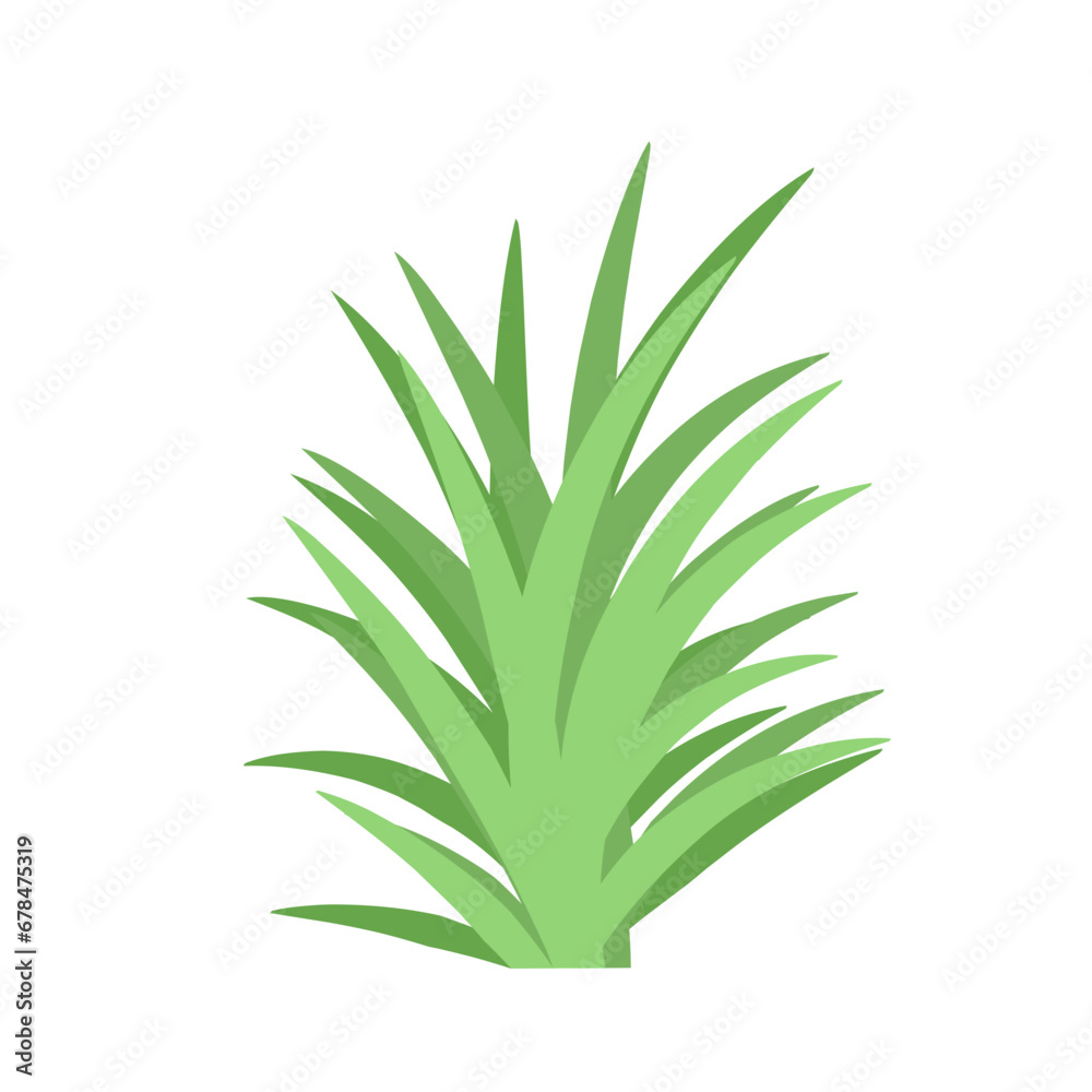 Fototapeta premium Green Grasses