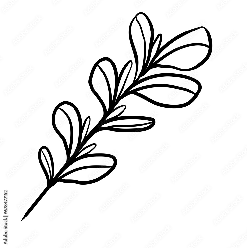 leaf hand drawn leaf hand drawn