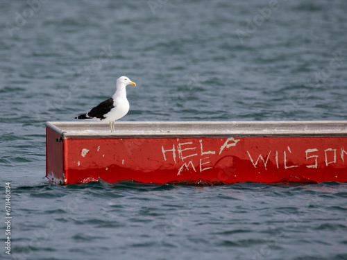 Canvas Print Gull on a red raft with Help Me, Wilson scratched on side