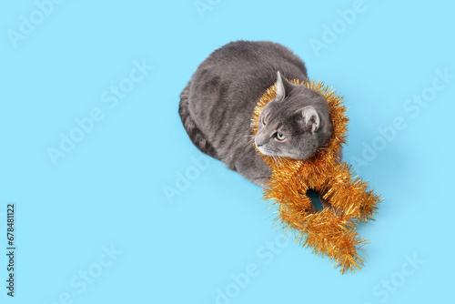 Cute cat with tinsel on blu...