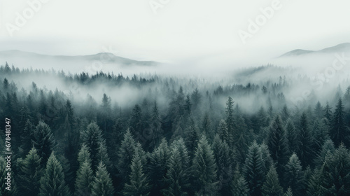 mist in the mountains photo