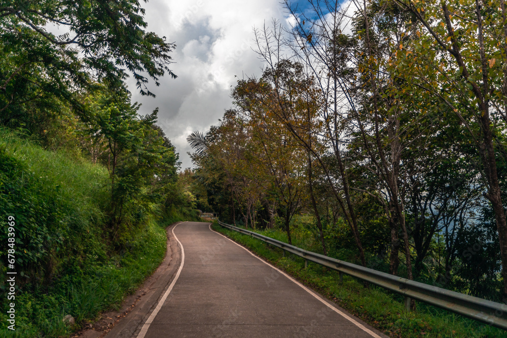 The blurred background of various species of trees planted in parks, tourist attractions, parks, to provide shade for spectators and to cool off during the day.