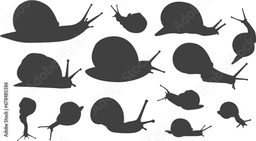 set of snail silhouette, mollusc animal collection
