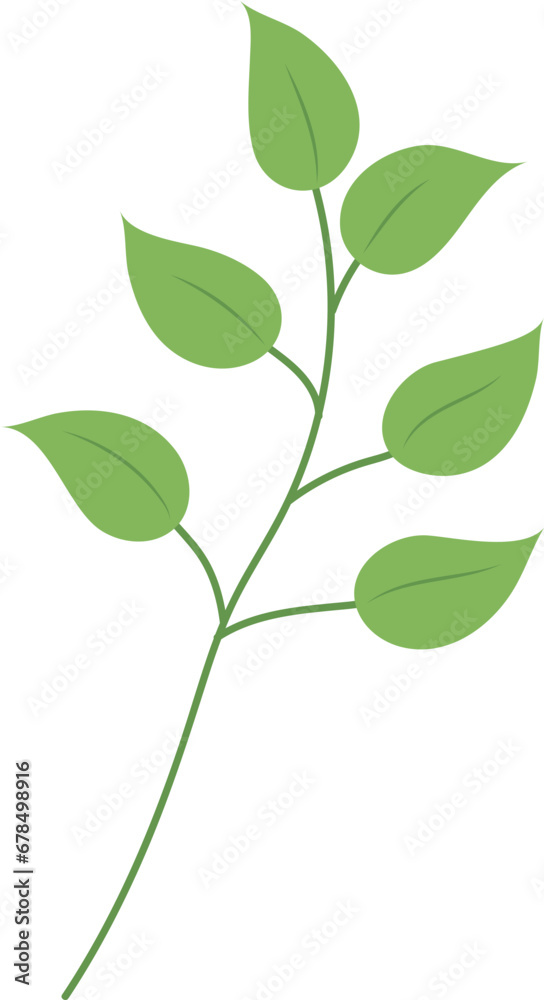 green leaf isolated on white green leaf isolated on white