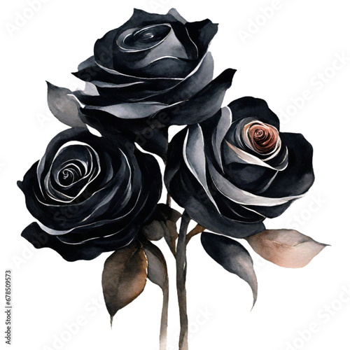 Black Rose Symbol of Romance and Beauty