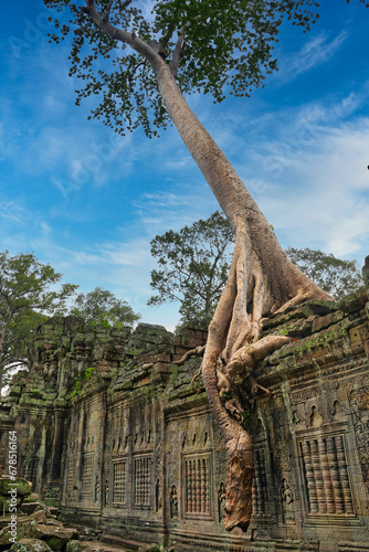 Preah Khan - 12th Century temple built by Khmer King Jayavarman VII with typical Angkor style intertwined tetrameles tree roots at Siem Reap, Cambodia, Asia photo