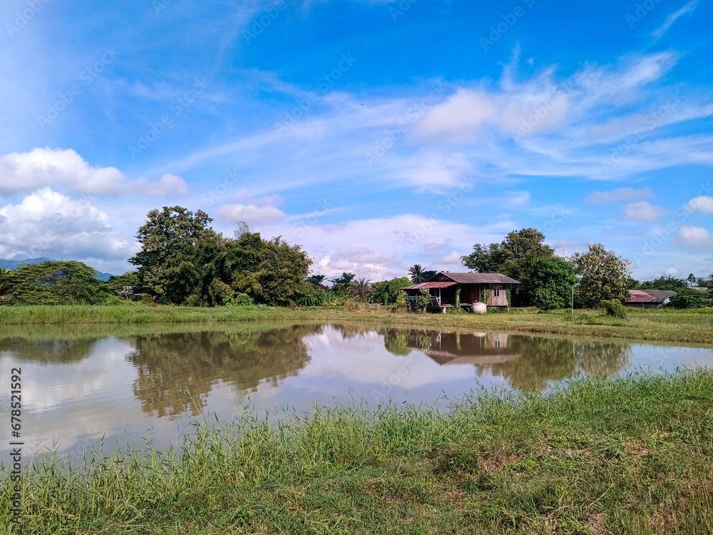 A Lone Wooden Retreat in Countryside Bliss A Lone Wooden Retreat in Countryside Bliss