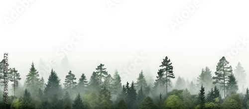 Young grey forest with green trees part of a nature series landscapes