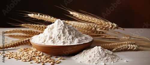 Whole grain and wheat flour Whole wheat flour photo