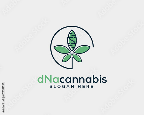 Cannabis leaf logo design vector template, medical marijuana logo designs