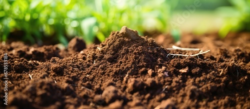 Ideal soil for gardening loose fertile with appropriate texture and background
