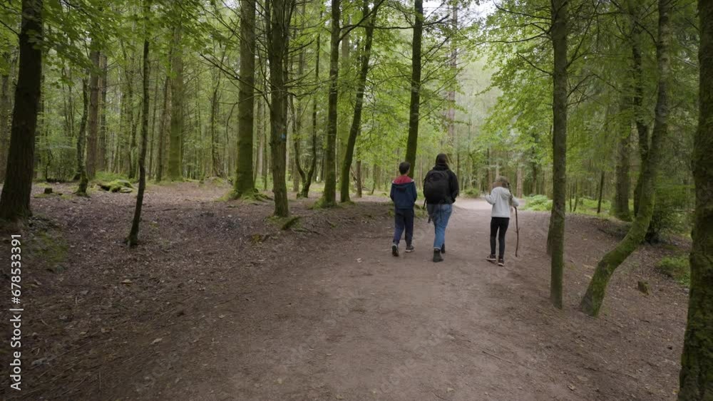 Young Family Walking Through Peaceful Forest In Summer Young Family Walking Through Peaceful Forest In Summer