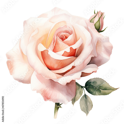 Elegant Watercolor Blush Rose Clipart Bloom, Dusty rose watercolor clipart, blush roses png, Watercolor Blush Roses Clipart, Watercolor Floral clipart, Pink rose flower, Generative AI 