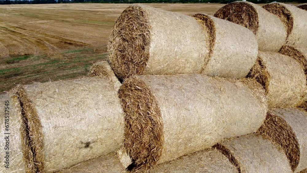 Many bales and rolls of straw after the harvest collected together on field on sunny autumn summer day. Agricultural agro-industrial agrarian landscape. Agribusiness agro business. Aerial drone view. Many bales and rolls of straw after the harvest collected together on field on sunny autumn summer day. Agricultural agro-industrial agrarian landscape. Agribusiness agro business. Aerial drone view.