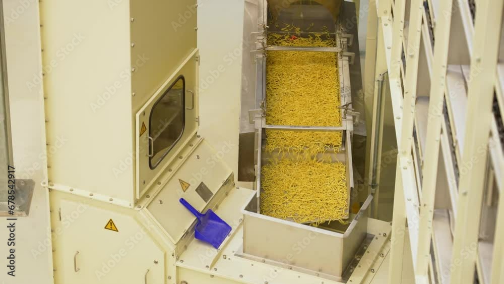spaetzle egg noodles on factory conveyorbelt, mass production process