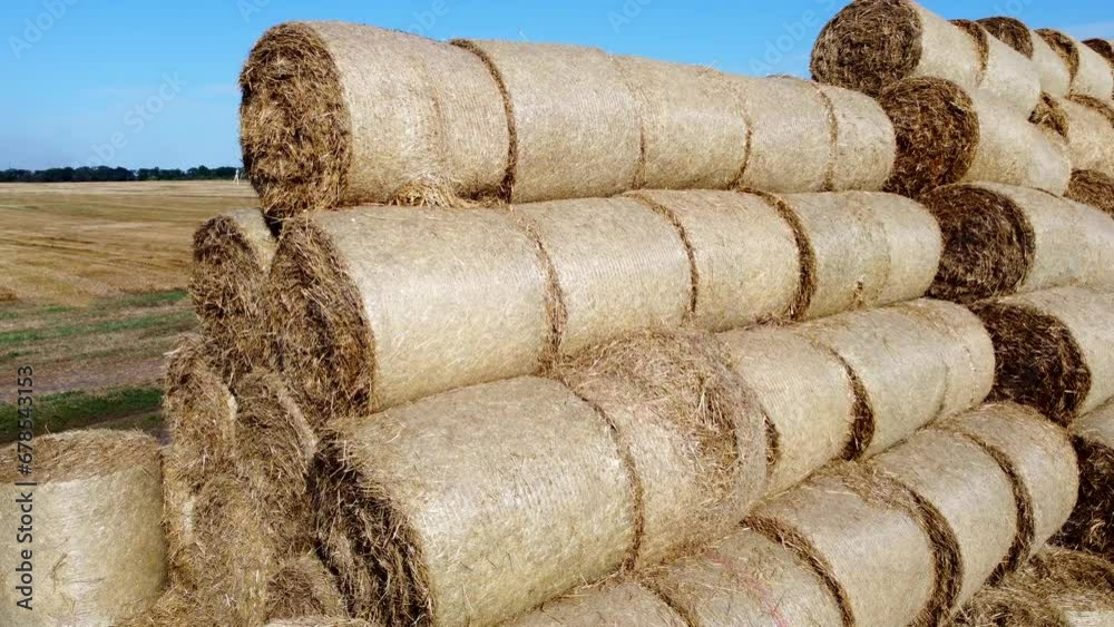 Many bales and rolls of straw after the harvest collected together on field on sunny autumn summer day. Agricultural agro-industrial agrarian landscape. Agribusiness agro business. Aerial drone view. Many bales and rolls of straw after the harvest collected together on field on sunny autumn summer day. Agricultural agro-industrial agrarian landscape. Agribusiness agro business. Aerial drone view.