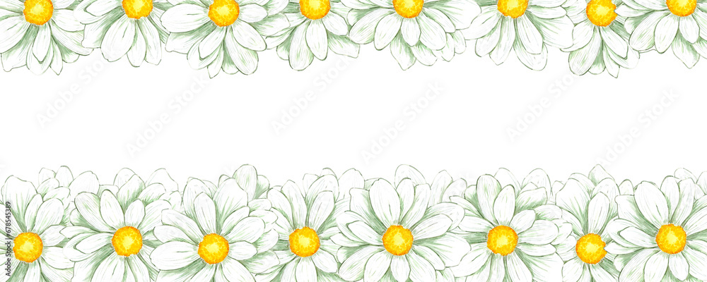 Hand drawn watercolor white chamomile banner border isolated on white background. Can be used for banner, decoration and other printed products.