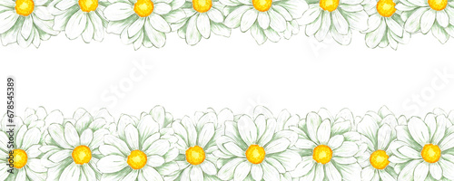 Hand drawn watercolor white chamomile banner border isolated on white background. Can be used for banner, decoration and other printed products.