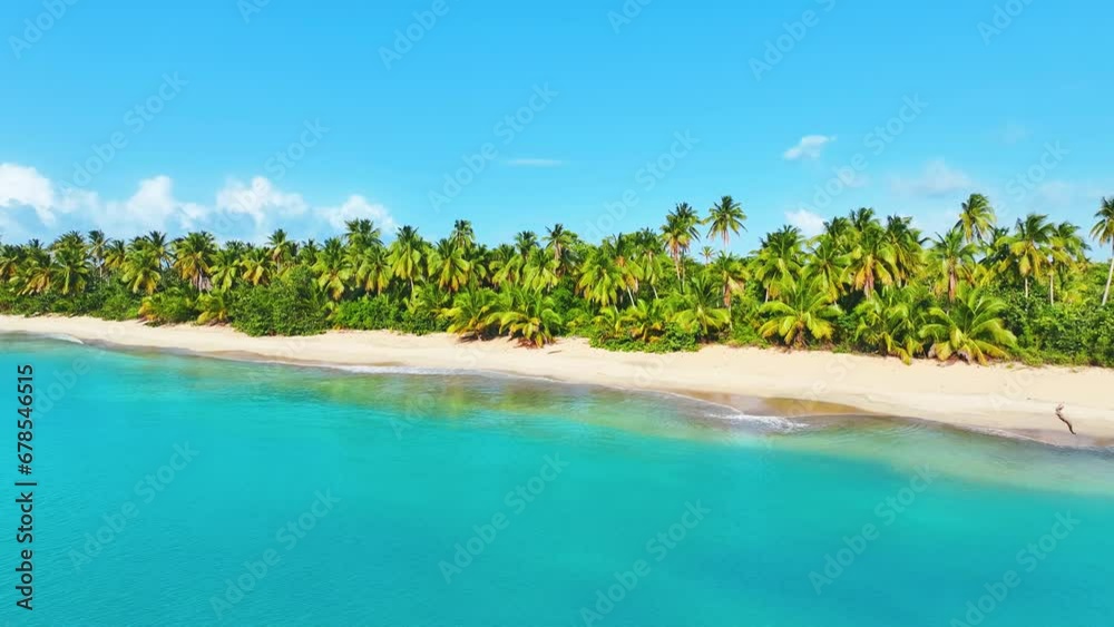 Bottom Bay, Barbados - Paradise beach on the Caribbean island of Barbados. Tropical shore with palm trees hanging over the turquoise sea. A picturesque view of a beautiful landscape. Bottom Bay, Barbados - Paradise beach on the Caribbean island of Barbados. Tropical shore with palm trees hanging over the turquoise sea. A picturesque view of a beautiful landscape.