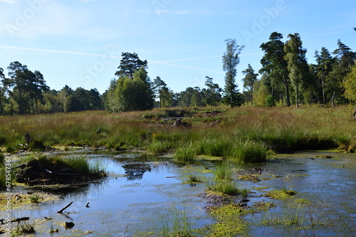 Swamp Landscape in the Fen Tister Bauernmoor, Lower Saxony photo