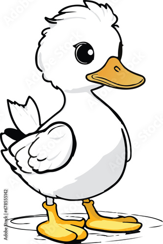 Cute duck on white background