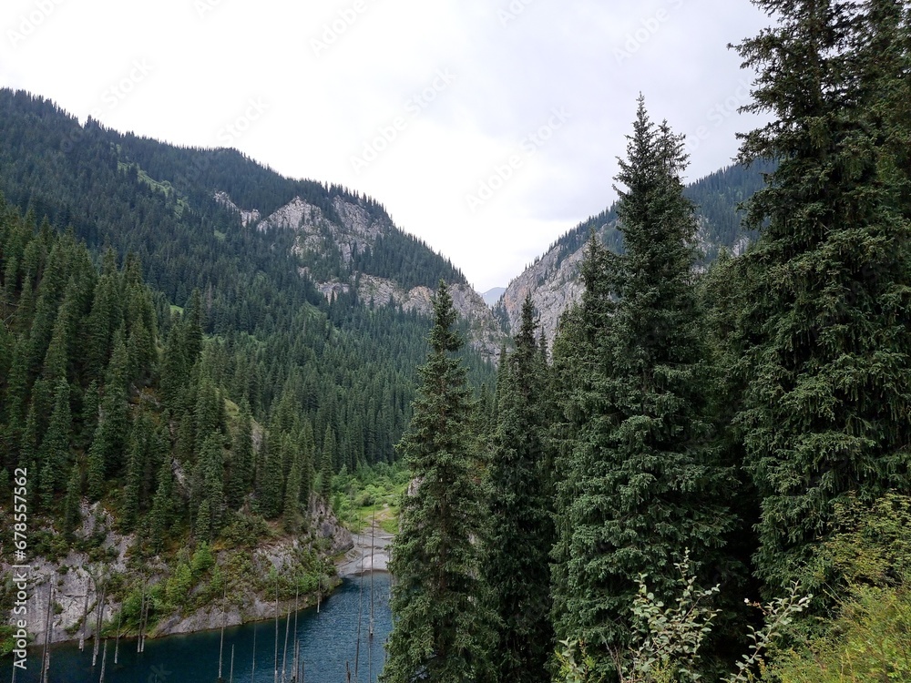 beautiful mountain landscape with forest and lake