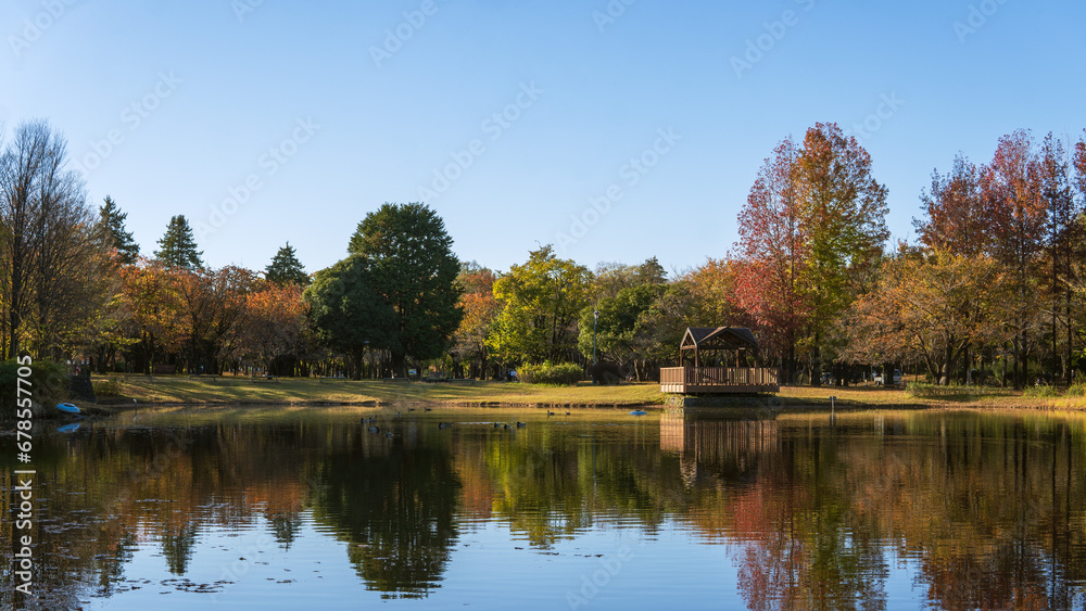 彩の森入間公園/池に映る秋の森と青空/日本埼玉県 彩の森入間公園/池に映る秋の森と青空/日本埼玉県