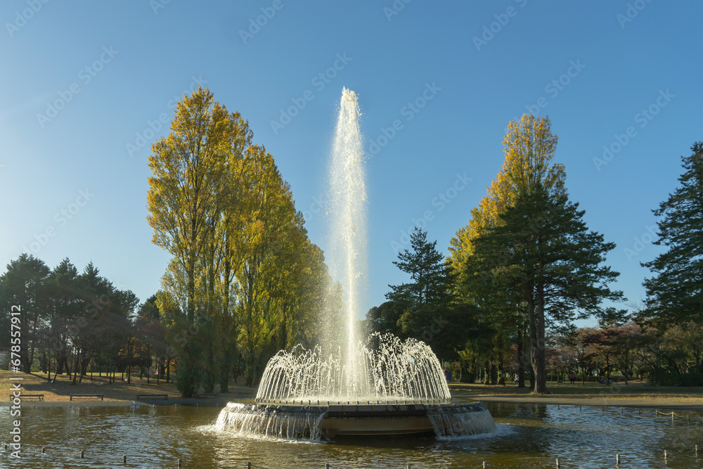 Fototapeta premium 彩の森入間公園／青空と紅葉を背景にした噴水／日本埼玉県