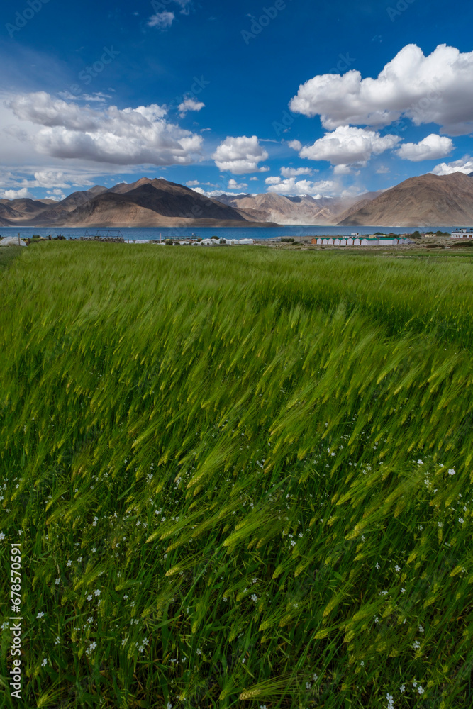 super view of panggong lake, in Ladakh, India. Panggong Lake is well known as the shooting point if 3 idiots bollywood movies. The lake is magical because its turqoise water. 