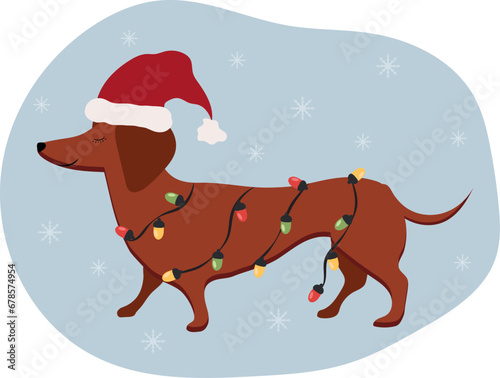 A dog with a garland, wearing a Santa hat. Dachshund. Vector.