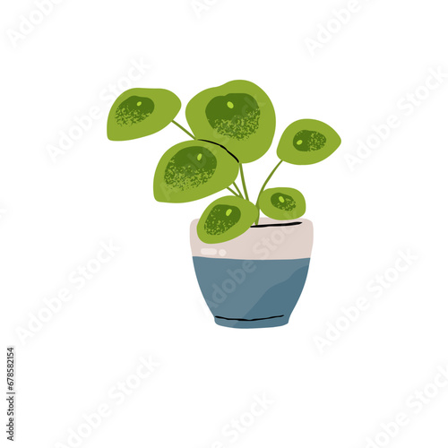 Green houseplant, home potted flower with round leaves. Pilea peperomioides in pot. Chinese money plant growing in frowerpot. Floral interior decoration. Flat isolated vector illustration on white