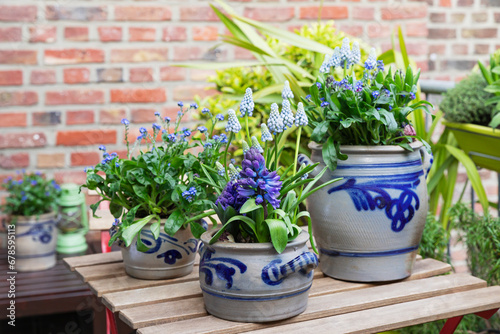Potted hyacinths blooming in balcony garden photo