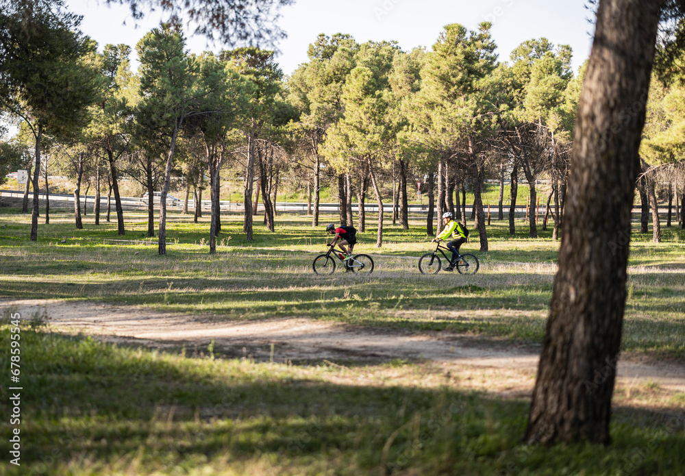 Friends riding bicycles in forest near trees Friends riding bicycles in forest near trees