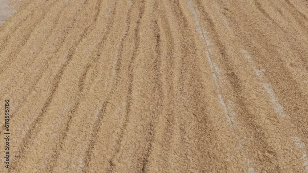 Drone View of Rice Drying on a Road in the Philippines Drone View of Rice Drying on a Road in the Philippines