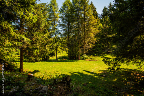 2023 7 16 Folgaria alpine pastures 1.jpg
