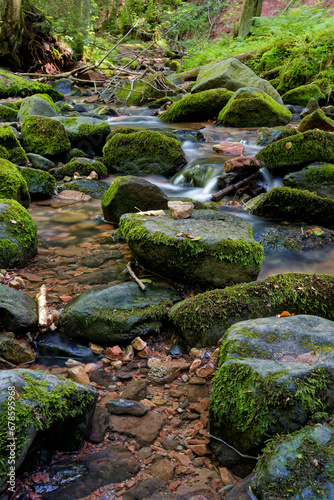  Der Feldbach in der Kaskadenschlucht bei Sandberg, Stadt Gersfeld, Biosphärenreservat Rhön, Hessen, Deutschland