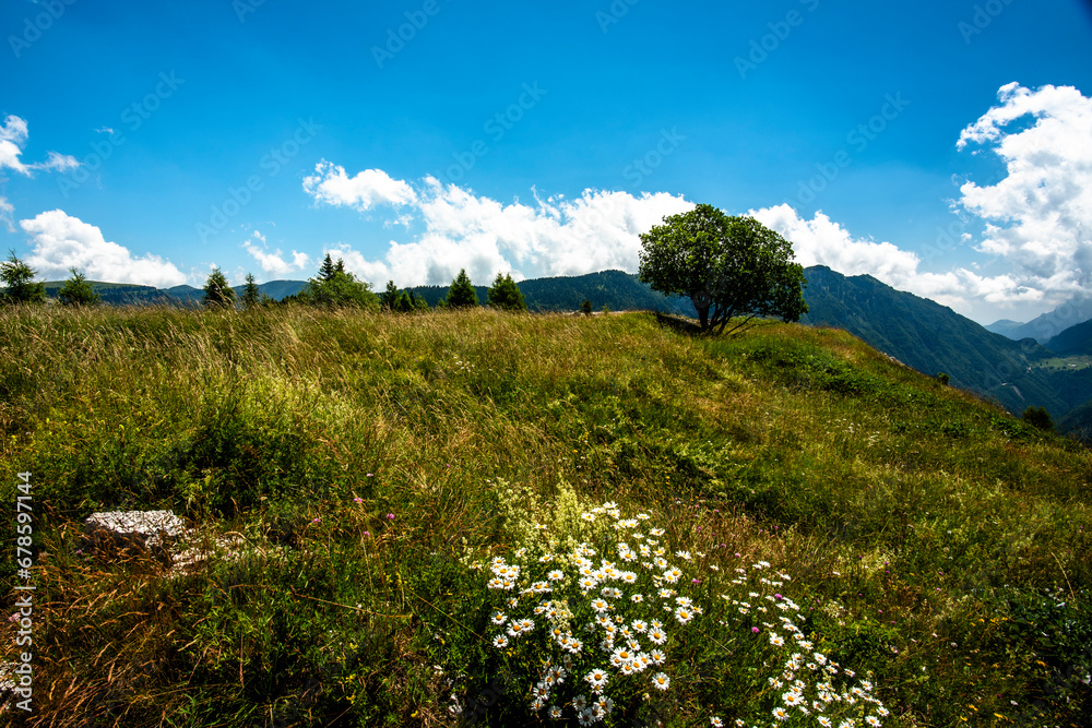 2023 7 16 Folgaria alpine pastures 11.jpg