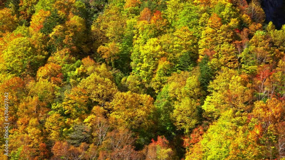 米子大瀑布の紅葉 米子鉱山跡地周辺からの景色 米子大瀑布の紅葉 米子鉱山跡地周辺からの景色