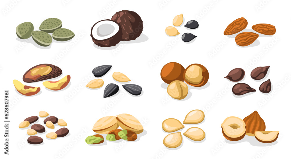 Nuts and seeds. Healthy snack food, colorful roasted nuts and dried seeds, healthy vegetarian food, nut and seed nutrition concept. Vector set - obrazy, fototapety, plakaty 