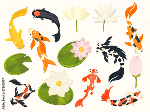 Koi fish and lotus. Exotic asian aquatic animals swimming in lotus flower pond, traditional chinese buddhist symbols. Vector isolated set