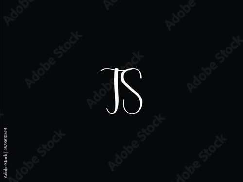 TS letter logo design and initial logo