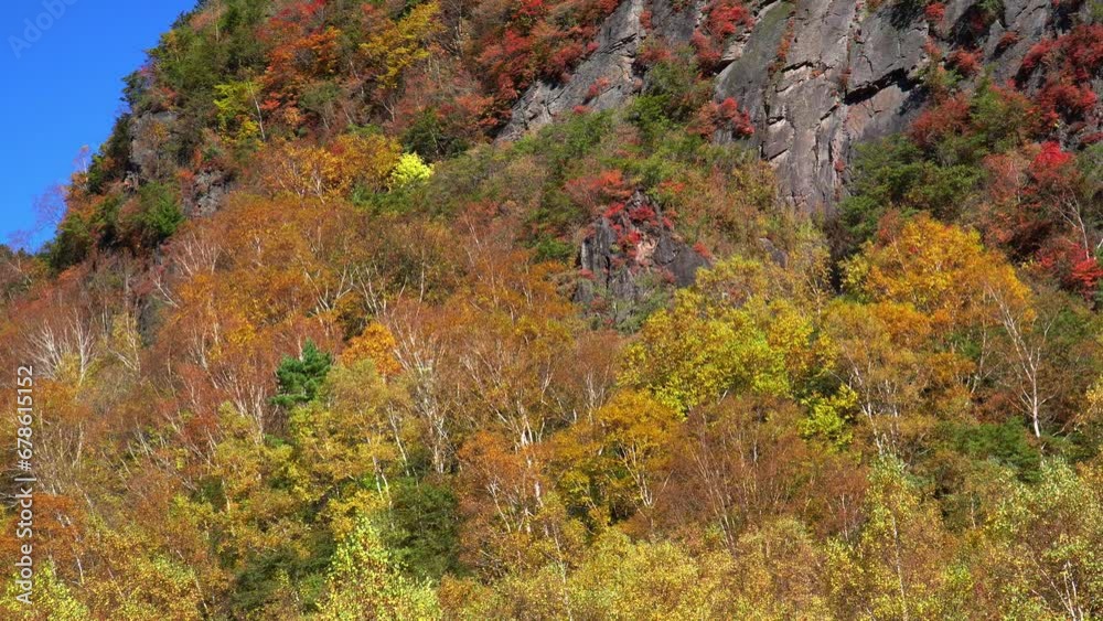 米子大瀑布の紅葉 米子鉱山跡地周辺からの景色 米子大瀑布の紅葉 米子鉱山跡地周辺からの景色