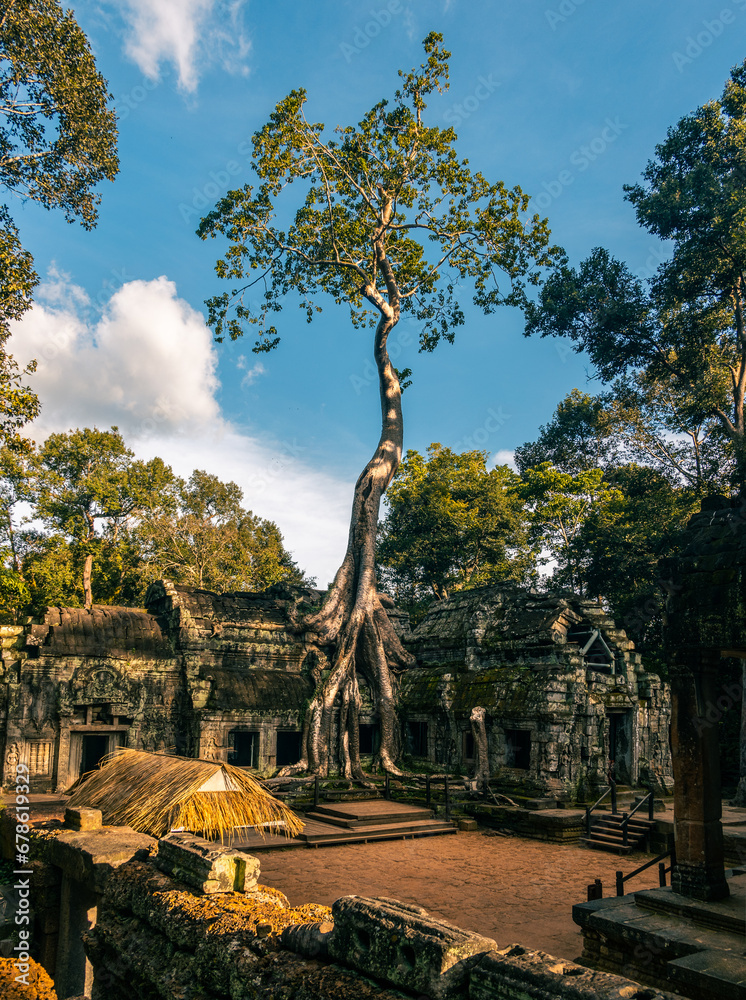 Fototapeta premium Ta Prohm. The iconic Angkor temple, Siem Reap, Cambodia taken over by the jungle. The roots of trees grow over the ruins. Blue sky, white clouds. Featured in the movie 'Lara Croft: Tomb Raider'. 
