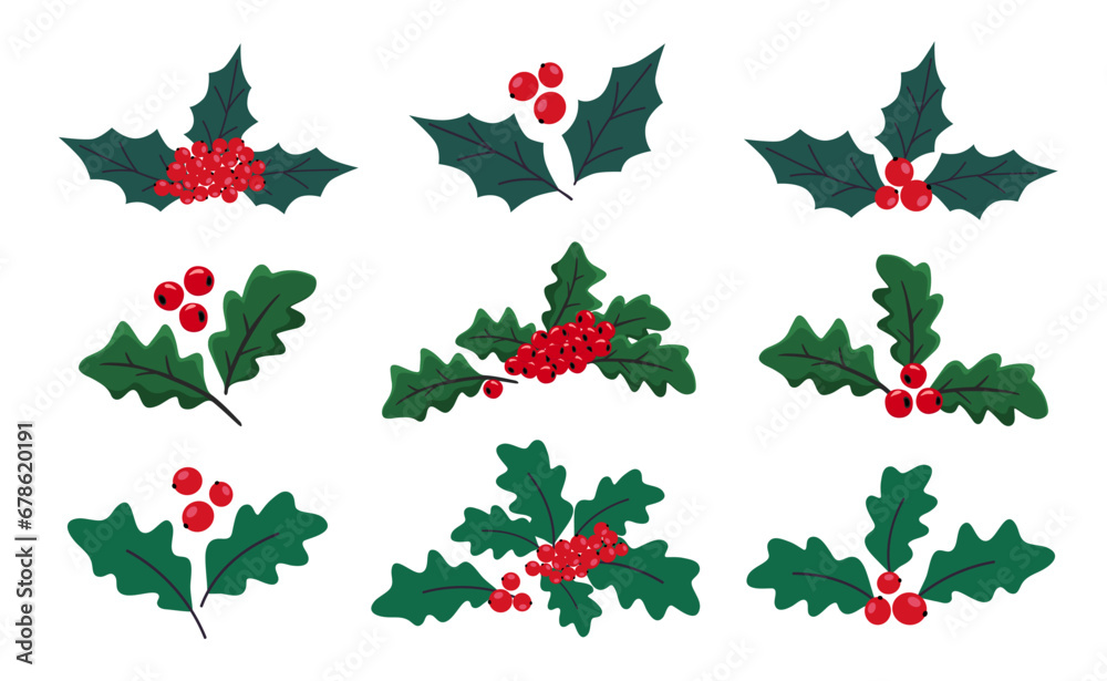 Set of Christmas holly with green leaves, red berries. Happy New Year holly berry icon, floral elements for winter holidays, Christmas symbol. Hand drawn vector illustration on white background